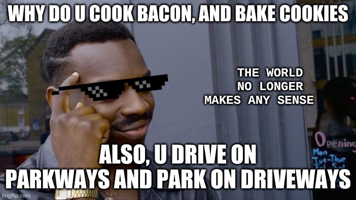 Roll Safe Think About It | WHY DO U COOK BACON, AND BAKE COOKIES; THE WORLD NO LONGER MAKES ANY SENSE; ALSO, U DRIVE ON PARKWAYS AND PARK ON DRIVEWAYS | image tagged in memes,roll safe think about it | made w/ Imgflip meme maker