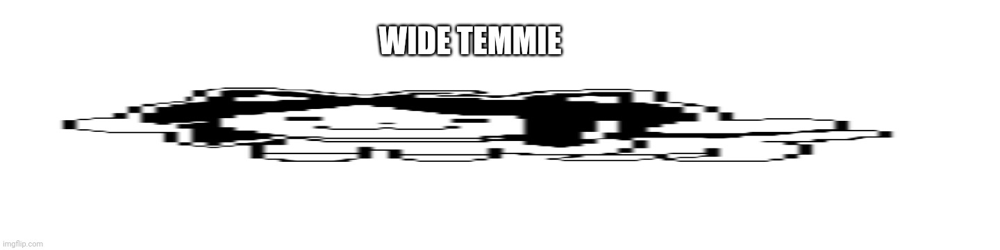 WIDE TEMMIE | image tagged in blank white template | made w/ Imgflip meme maker
