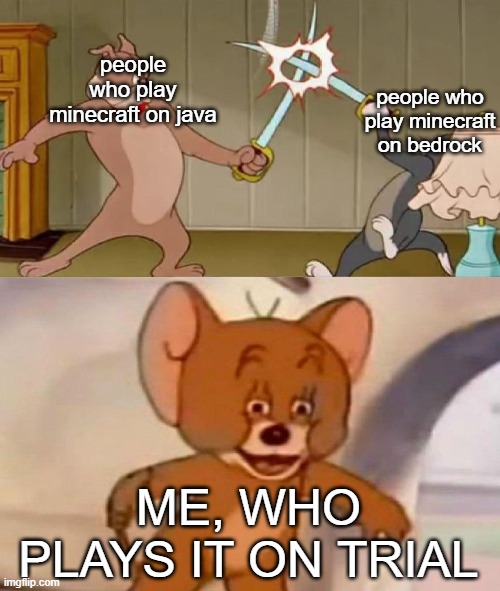 Tom and Jerry swordfight | people who play minecraft on java; people who play minecraft on bedrock; ME, WHO PLAYS IT ON TRIAL | image tagged in tom and jerry swordfight | made w/ Imgflip meme maker