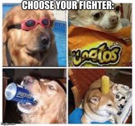 DOGE FIGHTER | CHOOSE YOUR FIGHTER: | image tagged in memes,doge,dog,dogs,funny dog memes,funny dogs | made w/ Imgflip meme maker