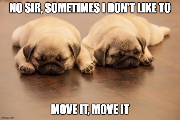 Move it, move it | NO SIR, SOMETIMES I DON'T LIKE TO; MOVE IT, MOVE IT | image tagged in cute puppies | made w/ Imgflip meme maker