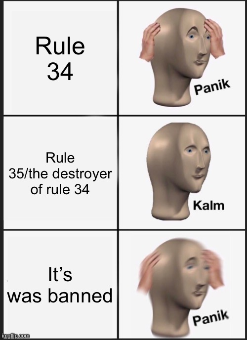 Just ok | Rule 34; Rule 35/the destroyer of rule 34; It’s was banned | image tagged in memes,panik kalm panik | made w/ Imgflip meme maker