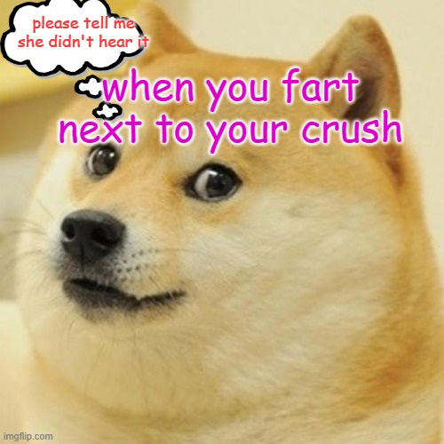 Doge Meme | please tell me she didn't hear it; when you fart next to your crush | image tagged in memes,doge | made w/ Imgflip meme maker