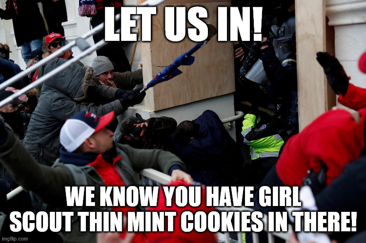 Give Us Girl Scout cookies ... or Give Us Death! |  LET US IN! WE KNOW YOU HAVE GIRL SCOUT THIN MINT COOKIES IN THERE! | image tagged in girl scout cookies,thin mints,gimme | made w/ Imgflip meme maker