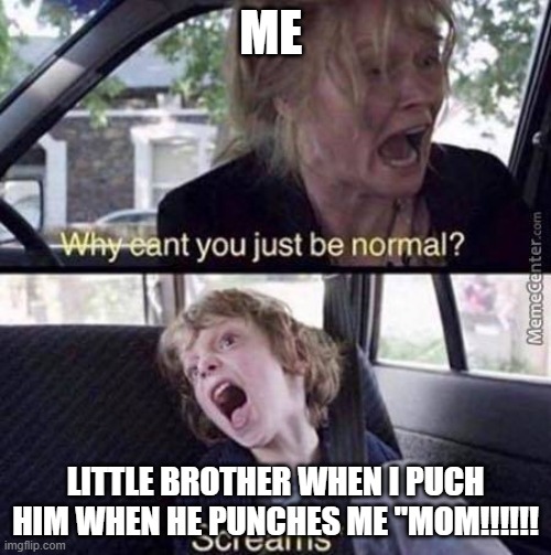 Why Can't You Just Be Normal |  ME; LITTLE BROTHER WHEN I PUCH HIM WHEN HE PUNCHES ME "MOM!!!!!! | image tagged in why can't you just be normal | made w/ Imgflip meme maker
