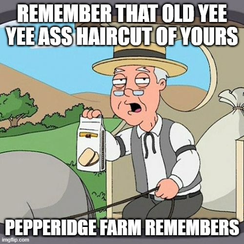 remember | REMEMBER THAT OLD YEE YEE ASS HAIRCUT OF YOURS; PEPPERIDGE FARM REMEMBERS | image tagged in memes,pepperidge farm remembers | made w/ Imgflip meme maker