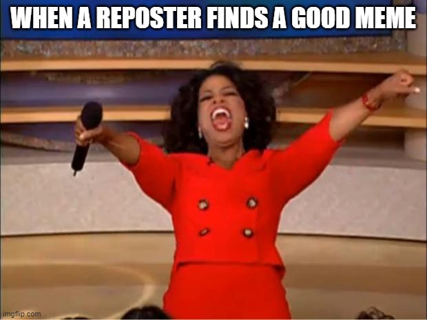 Oprah You Get A Meme | WHEN A REPOSTER FINDS A GOOD MEME | image tagged in memes,oprah you get a | made w/ Imgflip meme maker