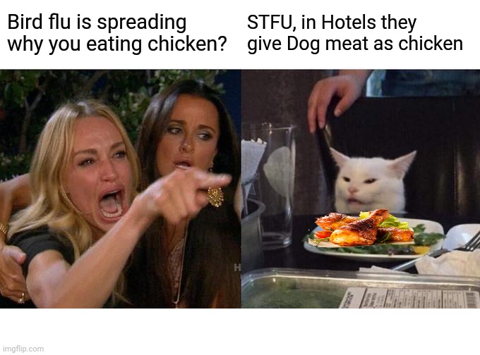 Woman Yelling At Cat | Bird flu is spreading why you eating chicken? STFU, in Hotels they give Dog meat as chicken | image tagged in memes,woman yelling at cat | made w/ Imgflip meme maker