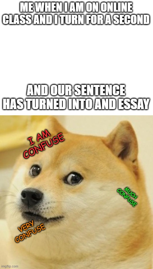 ME WHEN I AM ON ONLINE CLASS AND I TURN FOR A SECOND; AND OUR SENTENCE HAS TURNED INTO AND ESSAY; I AM CONFUSE; MUCH CONFUSE; VERY CONFUSE | image tagged in blank white template,memes,doge,confused | made w/ Imgflip meme maker