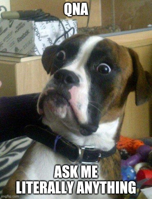 Blankie the Shocked Dog | QNA; ASK ME LITERALLY ANYTHING | image tagged in blankie the shocked dog | made w/ Imgflip meme maker