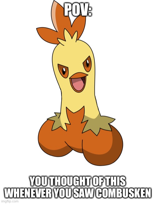 POV:; YOU THOUGHT OF THIS WHENEVER YOU SAW COMBUSKEN | image tagged in pokemon,memes | made w/ Imgflip meme maker