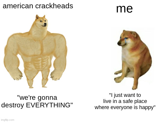 BEHAVE YOURSELVES | american crackheads; me; "we're gonna destroy EVERYTHING"; "I just want to live in a safe place where everyone is happy" | image tagged in memes,buff doge vs cheems | made w/ Imgflip meme maker