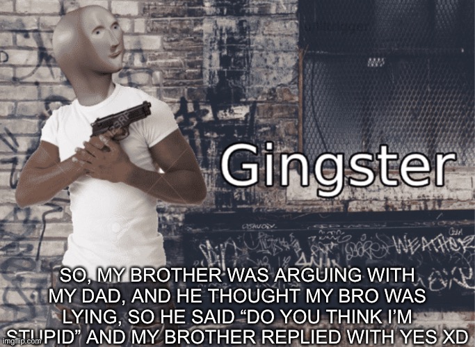 Gingster | SO, MY BROTHER WAS ARGUING WITH MY DAD, AND HE THOUGHT MY BRO WAS LYING, SO HE SAID “DO YOU THINK I’M STUPID” AND MY BROTHER REPLIED WITH YES XD | image tagged in gingster | made w/ Imgflip meme maker