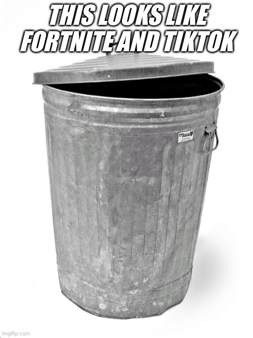 Trash Can | THIS LOOKS LIKE FORTNITE AND TIKTOK | image tagged in trash can | made w/ Imgflip meme maker