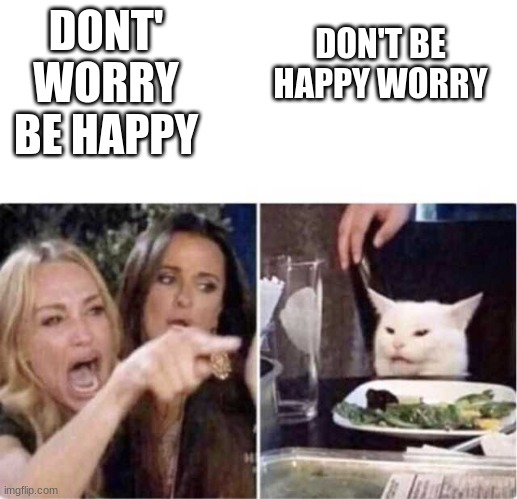 Real housewives screaming cat | DONT' WORRY BE HAPPY DON'T BE HAPPY WORRY | image tagged in real housewives screaming cat | made w/ Imgflip meme maker