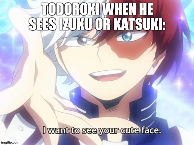 Todoroki I want to see your cute face | TODOROKI WHEN HE SEES IZUKU OR KATSUKI: | image tagged in todoroki i want to see your cute face | made w/ Imgflip meme maker