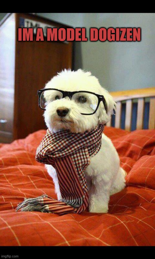 Intelligent Dog | IM A MODEL DOGIZEN | image tagged in memes,intelligent dog | made w/ Imgflip meme maker