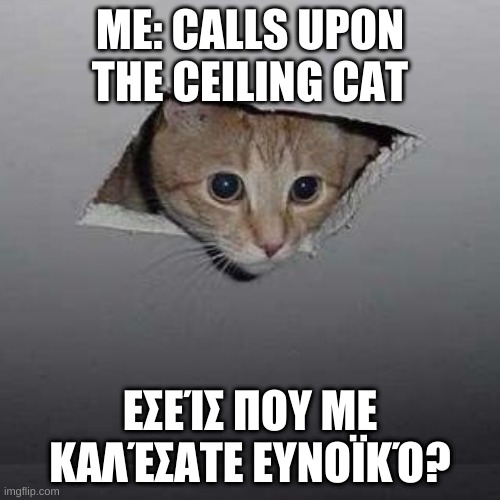 Ceiling Cat | ME: CALLS UPON THE CEILING CAT; ΕΣΕΊΣ ΠΟΥ ΜΕ ΚΑΛΈΣΑΤΕ ΕΥΝΟΪΚΌ? | image tagged in memes,ceiling cat | made w/ Imgflip meme maker
