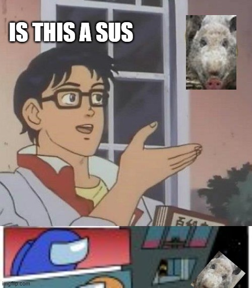 IS THIS A SUS | image tagged in memes,is this a pigeon | made w/ Imgflip meme maker