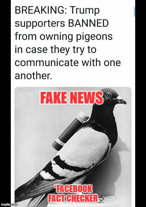 Trump pigeon | FAKE NEWS; *FACEBOOK FACT CHECKER | image tagged in politics | made w/ Imgflip meme maker