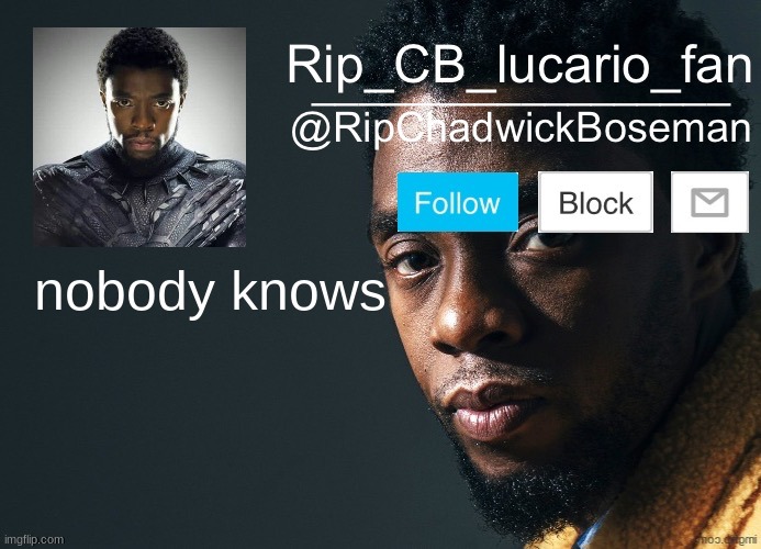 Rip's guess the song: volume 1 | nobody knows | image tagged in ripchadwickboseman template | made w/ Imgflip meme maker
