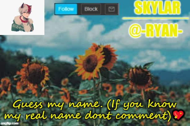 Ryan's announcement template | Guess my name. (If you know my real name dont comment)💖 | image tagged in ryan's announcement template | made w/ Imgflip meme maker