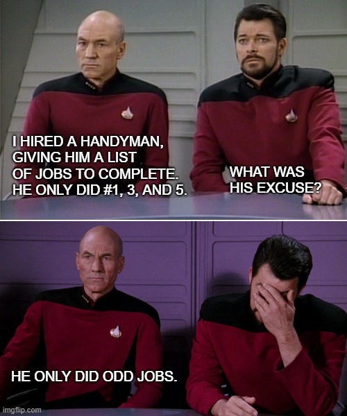 Picard Riker | I HIRED A HANDYMAN, GIVING HIM A LIST OF JOBS TO COMPLETE. HE ONLY DID #1, 3, AND 5. WHAT WAS HIS EXCUSE? HE ONLY DID ODD JOBS. | image tagged in picard riker | made w/ Imgflip meme maker