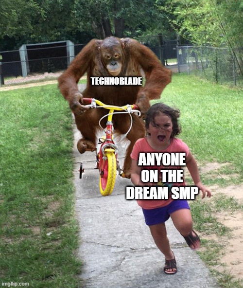 BRUH | TECHNOBLADE; ANYONE ON THE DREAM SMP | image tagged in orangutan chasing girl on a tricycle | made w/ Imgflip meme maker