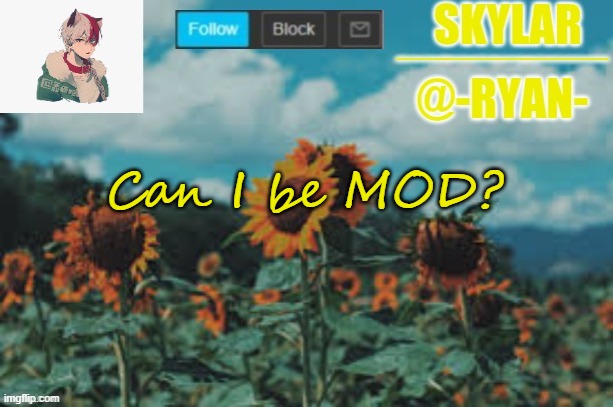Ryan's announcement template | Can I be MOD? | image tagged in ryan's announcement template | made w/ Imgflip meme maker