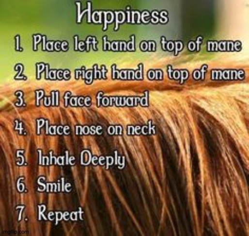 the best recipe for happy | image tagged in horse | made w/ Imgflip meme maker