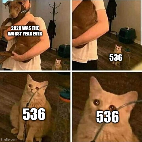 Sad Cat Holding Dog | 2020 WAS THE WORST YEAR EVER; 536; 536; 536 | image tagged in sad cat holding dog | made w/ Imgflip meme maker