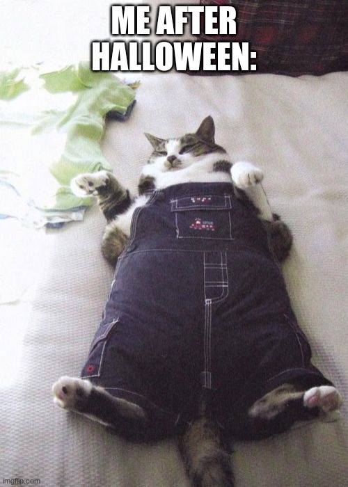 The Meme about Halloween | ME AFTER HALLOWEEN: | image tagged in memes,fat cat | made w/ Imgflip meme maker