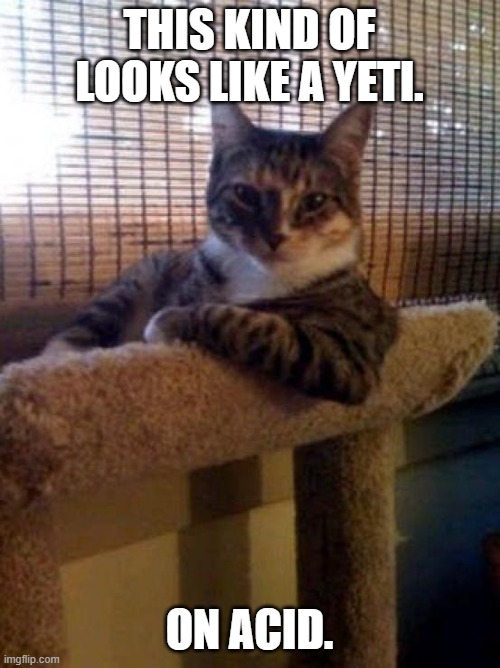 The Most Interesting Cat In The World Meme | THIS KIND OF LOOKS LIKE A YETI. ON ACID. | image tagged in memes,the most interesting cat in the world | made w/ Imgflip meme maker