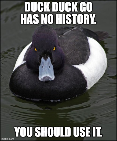 Angry duck | DUCK DUCK GO HAS NO HISTORY. YOU SHOULD USE IT. | image tagged in angry duck | made w/ Imgflip meme maker