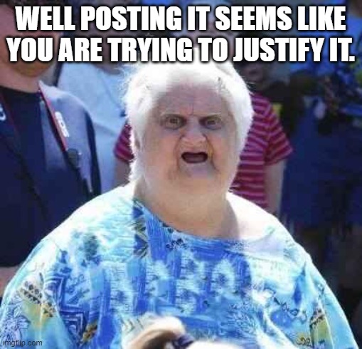 wut | WELL POSTING IT SEEMS LIKE YOU ARE TRYING TO JUSTIFY IT. | image tagged in wut | made w/ Imgflip meme maker