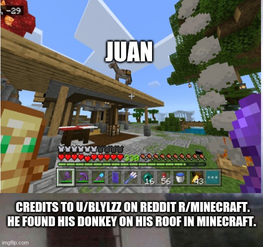 found this on reddit... | JUAN; CREDITS TO U/BLYLZZ ON REDDIT R/MINECRAFT. HE FOUND HIS DONKEY ON HIS ROOF IN MINECRAFT. | image tagged in simular to juan,found on reddit,donkey on roof | made w/ Imgflip meme maker