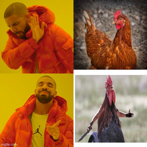 Chicken | image tagged in memes,drake hotline bling | made w/ Imgflip meme maker