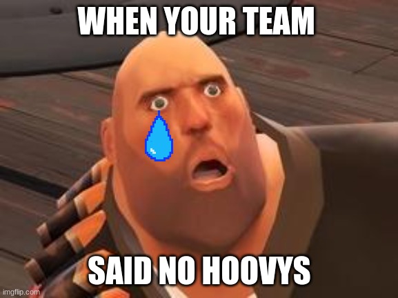 TF2 Heavy | WHEN YOUR TEAM; SAID NO HOOVYS | image tagged in tf2 heavy | made w/ Imgflip meme maker
