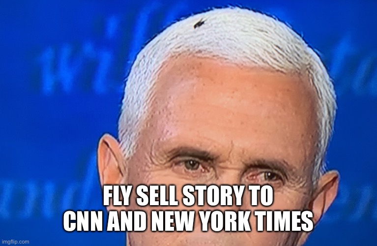 Pence Fly | FLY SELL STORY TO CNN AND NEW YORK TIMES | image tagged in pence fly | made w/ Imgflip meme maker