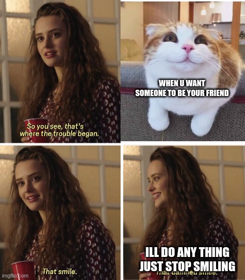 That Damn Smile | WHEN U WANT SOMEONE TO BE YOUR FRIEND; ILL DO ANY THING JUST STOP SMILING | image tagged in that damn smile | made w/ Imgflip meme maker