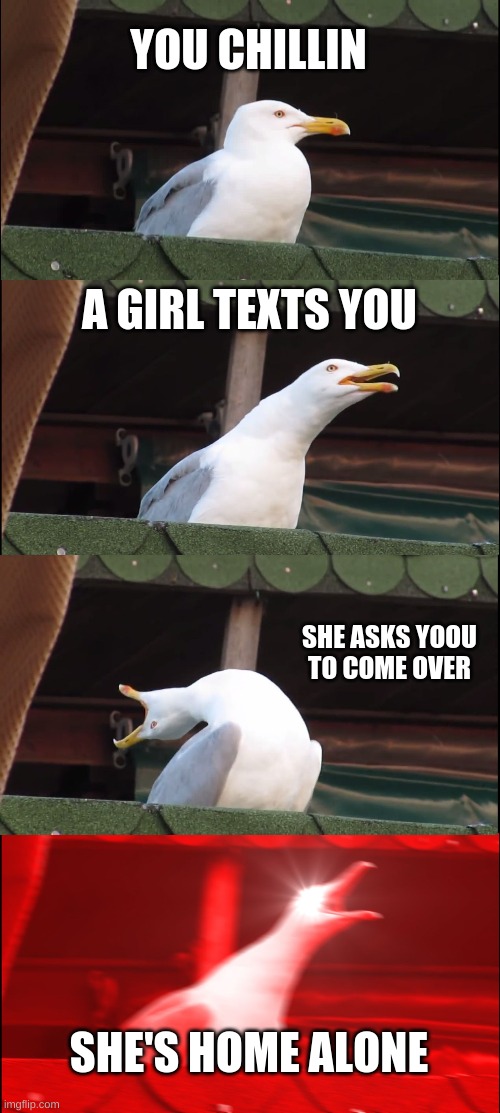 When a girl texts you | YOU CHILLIN; A GIRL TEXTS YOU; SHE ASKS YOOU TO COME OVER; SHE'S HOME ALONE | image tagged in memes,inhaling seagull | made w/ Imgflip meme maker