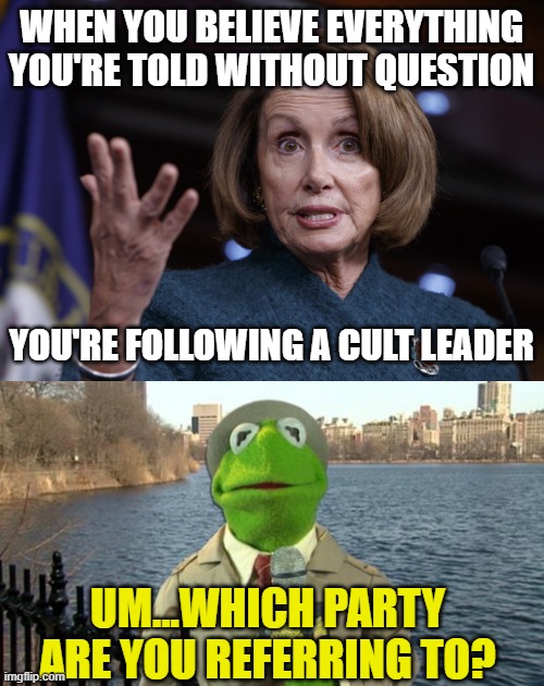 WHEN YOU BELIEVE EVERYTHING YOU'RE TOLD WITHOUT QUESTION; YOU'RE FOLLOWING A CULT LEADER; UM...WHICH PARTY ARE YOU REFERRING TO? | image tagged in good old nancy pelosi,kermit news report | made w/ Imgflip meme maker