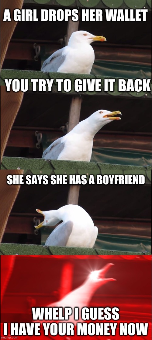 Inhaling Seagull | A GIRL DROPS HER WALLET; YOU TRY TO GIVE IT BACK; SHE SAYS SHE HAS A BOYFRIEND; WHELP I GUESS I HAVE YOUR MONEY NOW | image tagged in memes,inhaling seagull | made w/ Imgflip meme maker