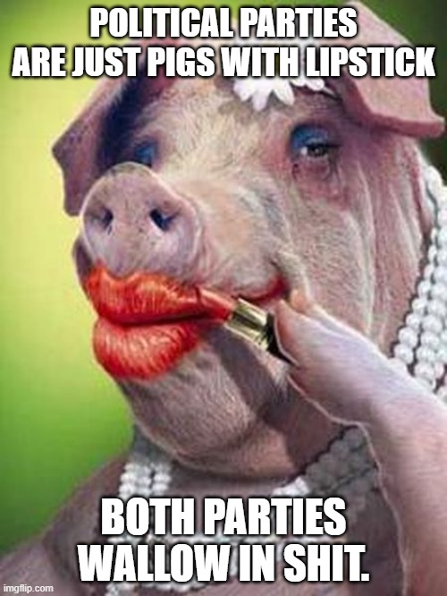 Lipstick on a Pig | POLITICAL PARTIES ARE JUST PIGS WITH LIPSTICK; BOTH PARTIES WALLOW IN SHIT. | image tagged in lipstick on a pig | made w/ Imgflip meme maker