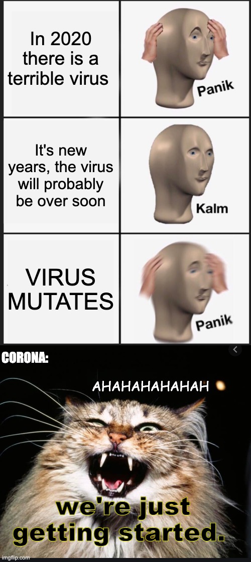In 2020 there is a terrible virus; It's new years, the virus will probably be over soon; VIRUS MUTATES; CORONA:; AHAHAHAHAHAH; we're just getting started. | image tagged in memes,panik kalm panik | made w/ Imgflip meme maker