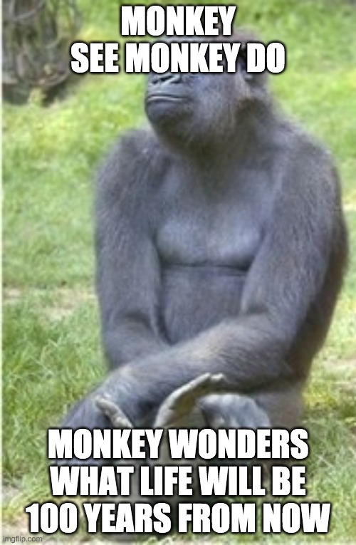 Proud Boys: Sitting By | MONKEY SEE MONKEY DO; MONKEY WONDERS WHAT LIFE WILL BE 100 YEARS FROM NOW | image tagged in proud boys sitting by | made w/ Imgflip meme maker