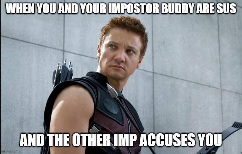 WHEN YOU AND YOUR IMPOSTOR BUDDY ARE SUS; AND THE OTHER IMP ACCUSES YOU | image tagged in among us,impostor,among us blame | made w/ Imgflip meme maker