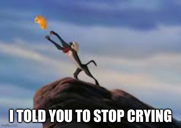 i told you to stop crying | I TOLD YOU TO STOP CRYING | image tagged in sorry not sorry | made w/ Imgflip meme maker