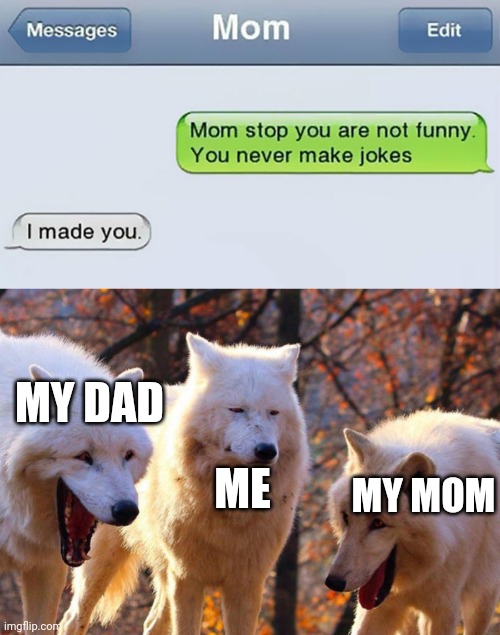 MY DAD; ME; MY MOM | image tagged in funny | made w/ Imgflip meme maker