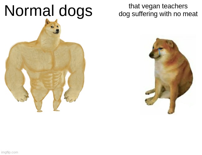 Buff Doge vs. Cheems Meme | Normal dogs; that vegan teachers dog suffering with no meat | image tagged in memes,buff doge vs cheems | made w/ Imgflip meme maker